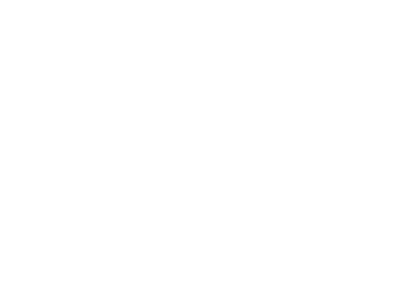FgServizi